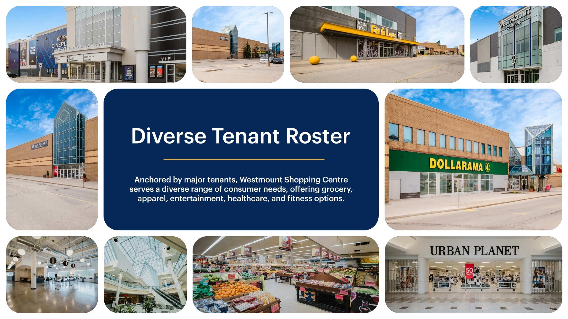 785 Wonderland — Still 02